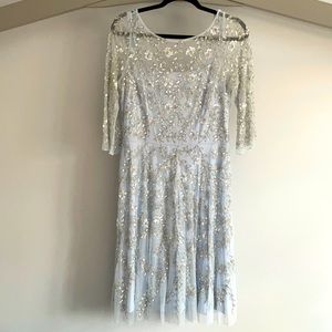 Light Blue Embroidered Dress